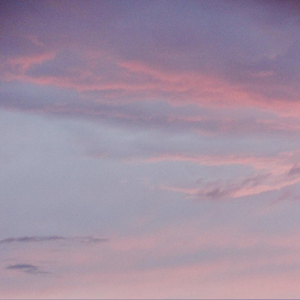 四川老熟女毛茸茸
