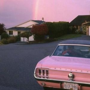 四川老熟女毛茸茸
