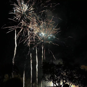 四川老熟女毛茸茸
